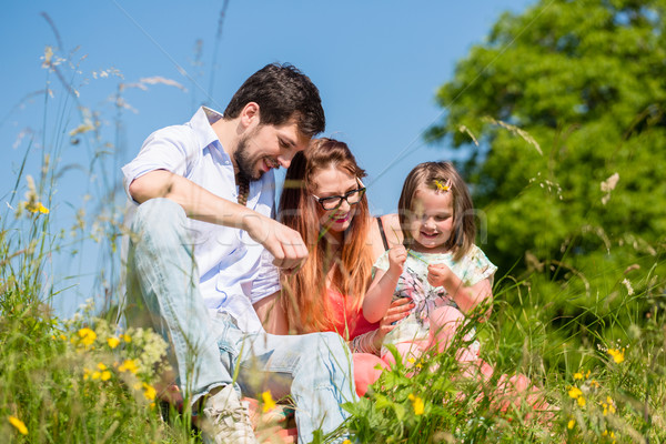 Stock photo: Family playing with wildflowers on meadow