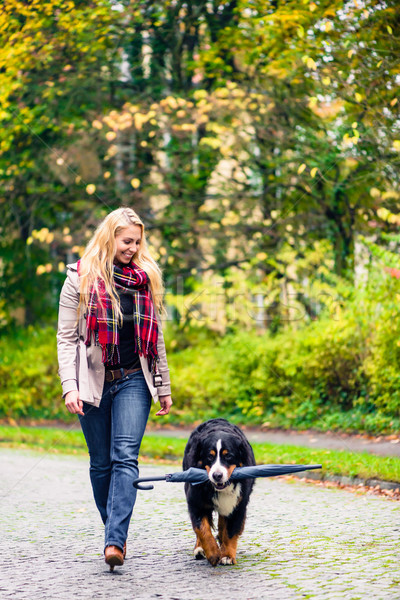 Dog carrying umbrella of his mom in autumn walk Stock photo © Kzenon