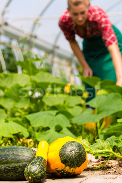 Female gardener in market garden or nursery Stock photo © Kzenon