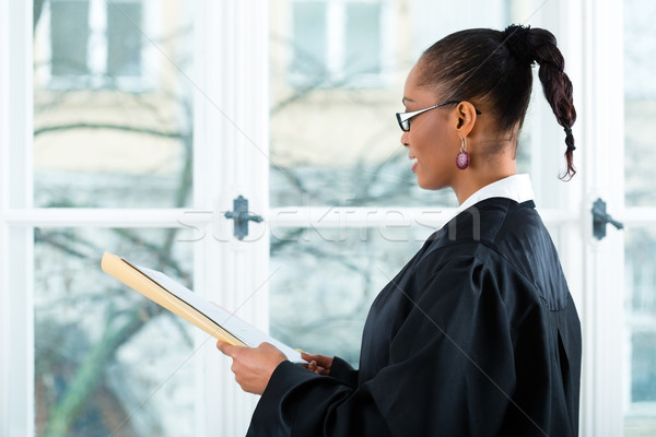 Lawyer in office with dossier standing an window Stock photo © Kzenon