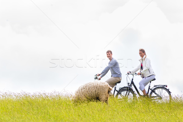 Stockfoto: Paar · zee · kust · fiets · tour · fiets