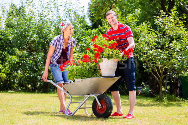 Couple in garden with barrow and flowers Stock photo © Kzenon