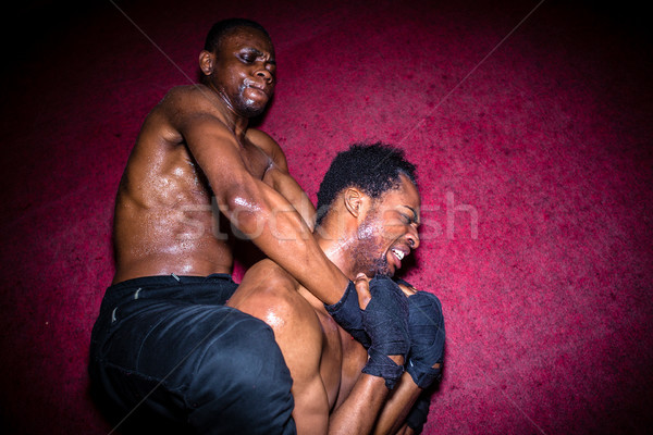 Twee afro-amerikaanse overheersing grond vechten Stockfoto © Kzenon