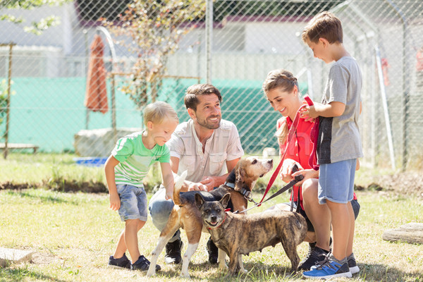 Mom with her sons walking dogs of an animal shelter Stock photo © Kzenon