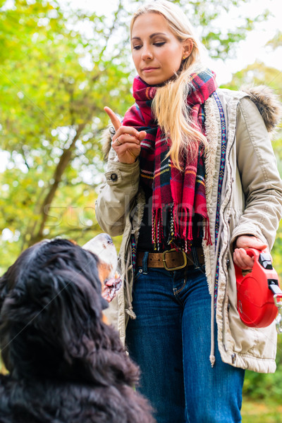 Dziewczyna jesienią parku szkolenia psa posłuszeństwo Zdjęcia stock © Kzenon