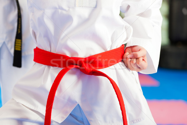 [[stock_photo]]: Arts · martiaux · sport · formation · gymnase · personnes