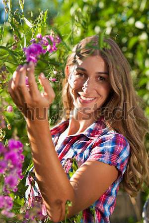 Happy woman in garden with flowers Stock photo © Kzenon