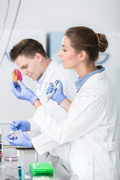 Scientists of food testing lab testing germ pollution in petri p Stock photo © Kzenon