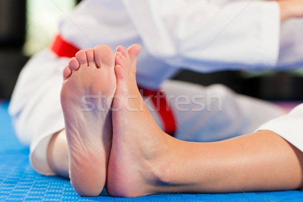 Martial Arts sport training in gym Stock photo © Kzenon