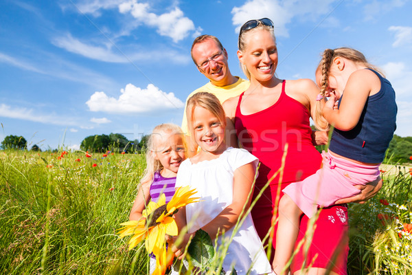 Family in grass in summer Stock photo © Kzenon