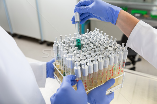 Scientist arrange samples for test in research lab Stock photo © Kzenon