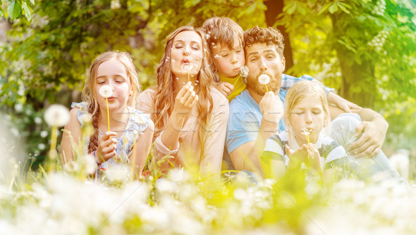 Stok fotoğraf: Aile · beş · oturma · çayır · karahindiba