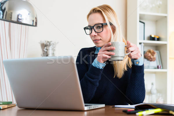 Woman looking at laptop Stock photo © Kzenon