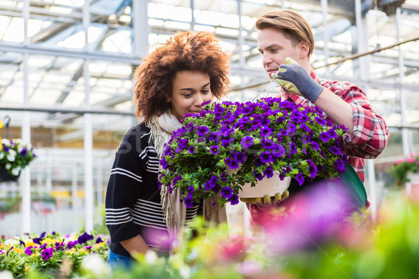 Beautiful woman thinking of buying a fragrant potted purple petunias Stock photo © Kzenon