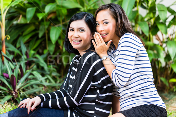 Stock foto: Zwei · asian · Freundinnen · tropischen · Umwelt