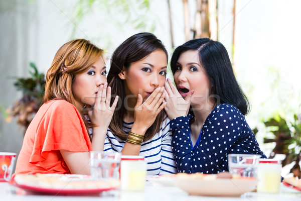 Asian women gossiping about things Stock photo © Kzenon