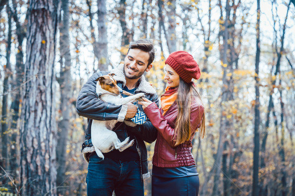 Foto stock: Pareja · caída · caminata · perro · parque · jugando