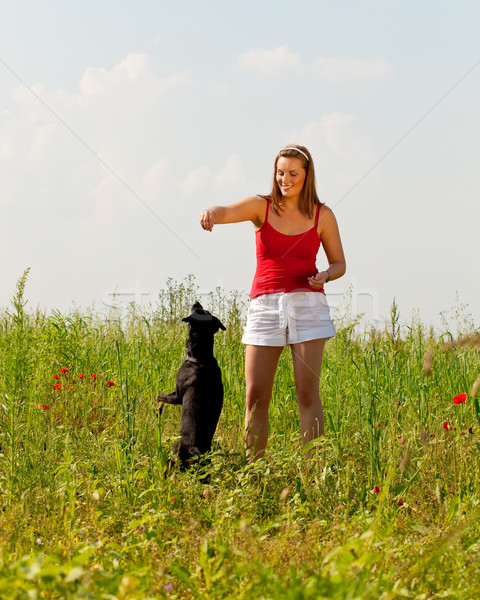 Femme jouer chien prairie été amour [[stock_photo]] © Kzenon