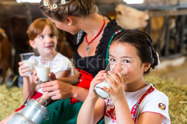 Stock photo: Bavaria family drinking milk in cow barn 