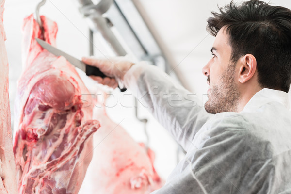 Butcher in butchery or slaughterhouse cutting meat Stock photo © Kzenon