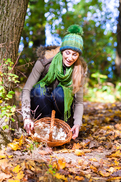 Woman with basket full of champignons in forest Stock photo © Kzenon