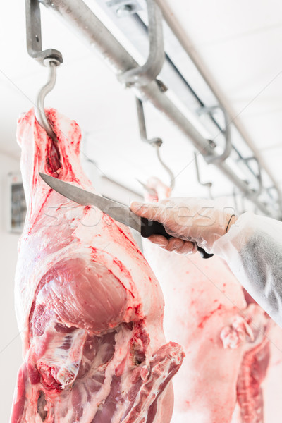Hand of butcher in butchery cutting meat Stock photo © Kzenon