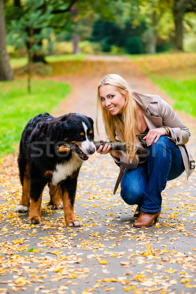 Woman and dog at retrieving stick game Stock photo © Kzenon