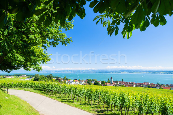 View on Bodensee with alp mountain range in background Stock photo © Kzenon