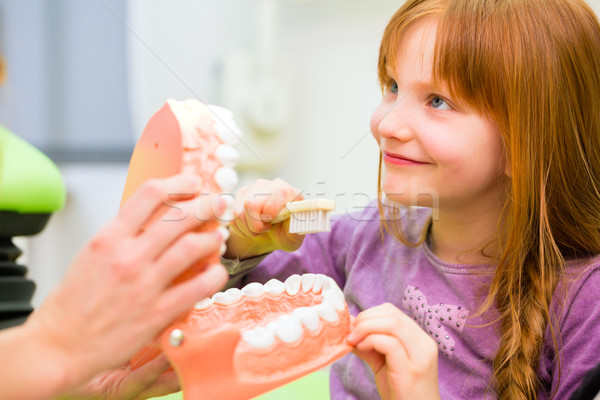 Dentista nina limpieza diente femenino Foto stock © Kzenon