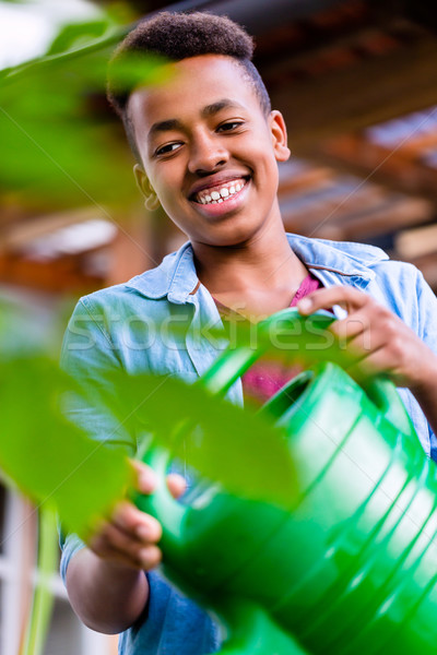 Young African boy watering plants in garden Stock photo © Kzenon