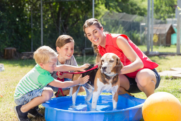 Family washing dog in pool of animal shelter Stock photo © Kzenon