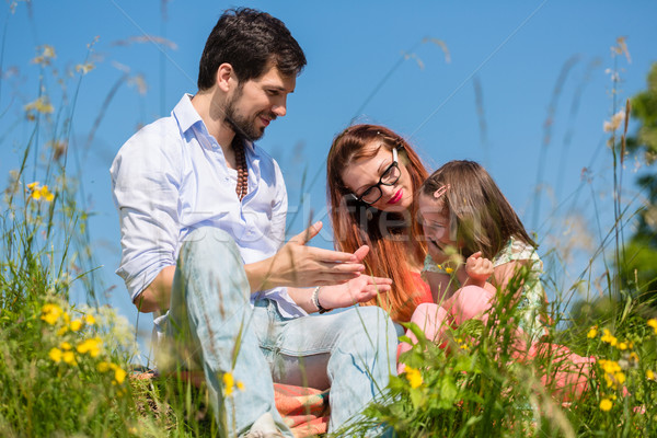 Rodziny gry kwiaty łące posiedzenia trawy Zdjęcia stock © Kzenon