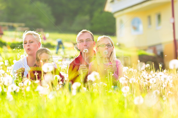 Aile oturma çayır ev mutlu aile yaz Stok fotoğraf © Kzenon