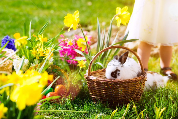 Easter bunny on meadow with basket and eggs Stock photo © Kzenon