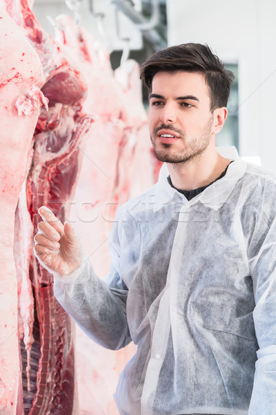 Stock photo: Veterinary at meat inspection in slaughterhouse
