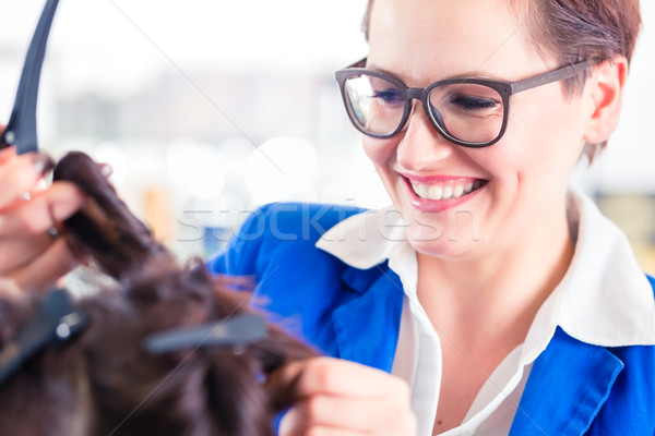 Hairdresser styling woman hair in shop Stock photo © Kzenon