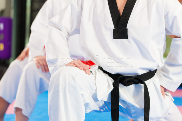 Stockfoto: Vechtsporten · sport · opleiding · gymnasium · mensen