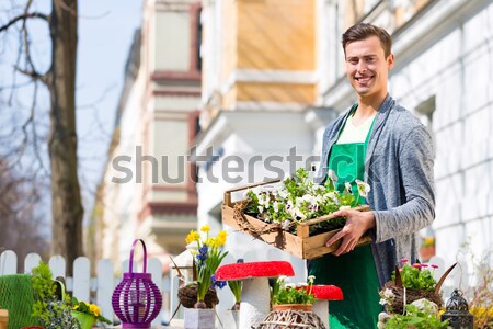 Foto stock: Florista · flor · cesta · tienda · femenino