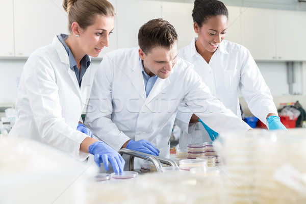 Group of scientists in food laboratory with samples in petri dis Stock photo © Kzenon
