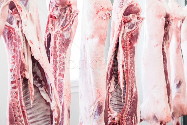 Pork Carcasses in butchery ready for processing Stock photo © Kzenon