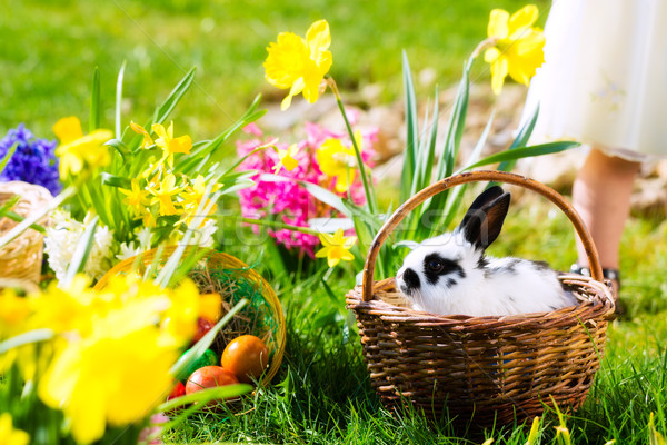 [[stock_photo]]: Lapin · de · Pâques · prairie · panier · oeufs · vie · printemps