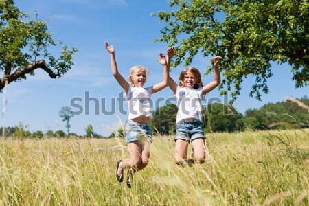 Happy children in a meadow Stock photo © Kzenon
