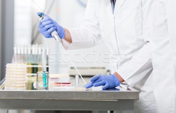 Research operator preparing samples in petri dishes Stock photo © Kzenon