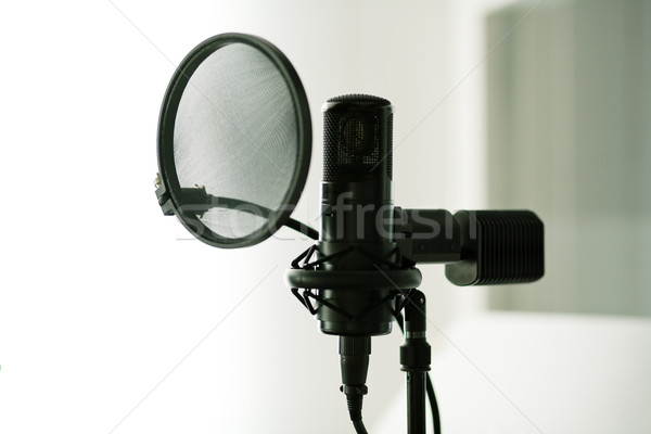Microphone (condenser) Stock photo © Kzenon