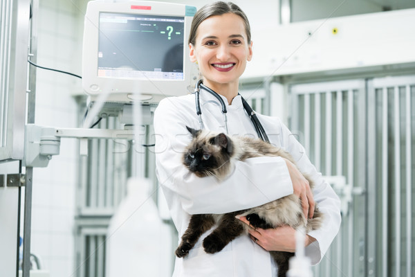 Veterinarian pet doctor holding cat in her animal clinic Stock photo © Kzenon
