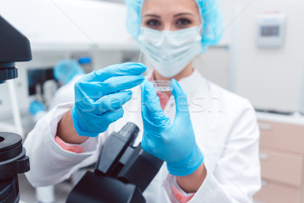 Scientist in laboratory showing dish with fertilized egg cell Stock photo © Kzenon