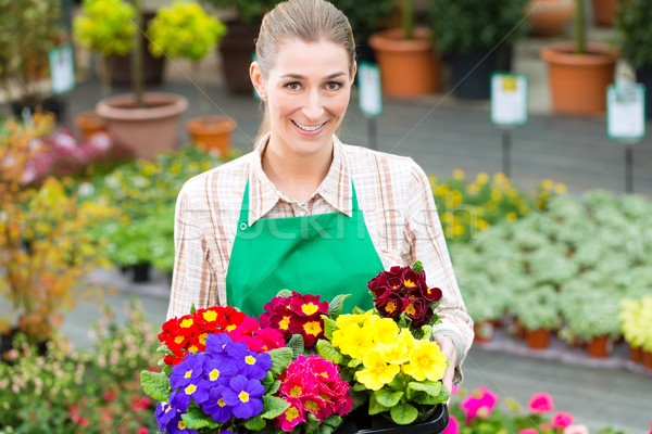 Foto stock: Jardinero · mercado · jardín · vivero · femenino · florista