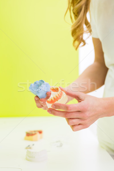 Dental technician checking denture  Stock photo © Kzenon