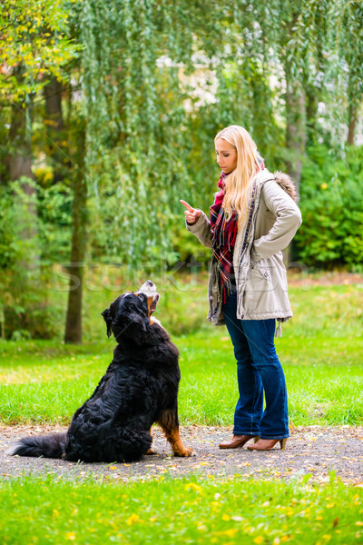 Meisje najaar park opleiding hond gehoorzaamheid Stockfoto © Kzenon