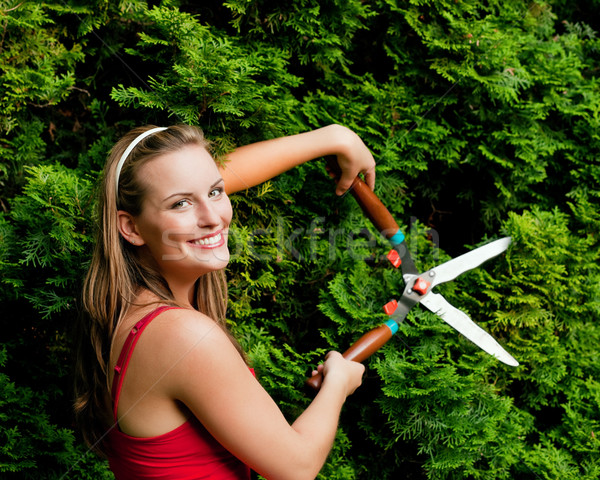 Woman in garden trimming hedge Stock photo © Kzenon